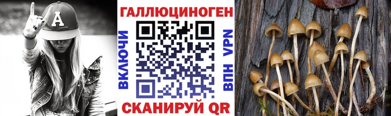 цены наркотик  Кондрово  Галлюциногенные грибы мицелий 